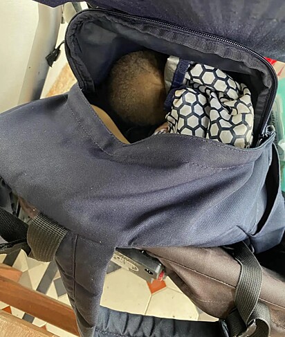O filhote de gambá-de-cauda-anelada foi mantido dentro da mochila até os socorristas chegarem.