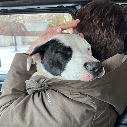 O cãozinho se derreteu no colo da socorrista.