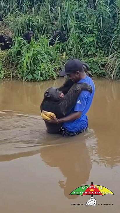 O sorriso do mamífero expressa um prazer genuíno em rever seu amigo humano