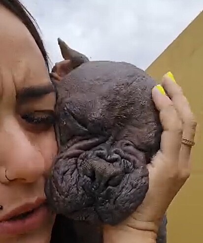 Margareth recebendo carinho da protetora de animais Rachel Ramos.