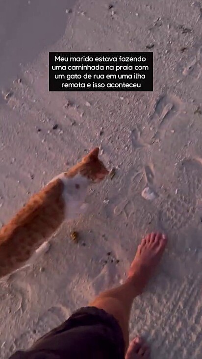 O homem estava caminhando na companhia do felino.