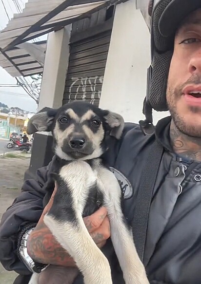 O cachorrinho Thor no colo do motoboy Henrique.