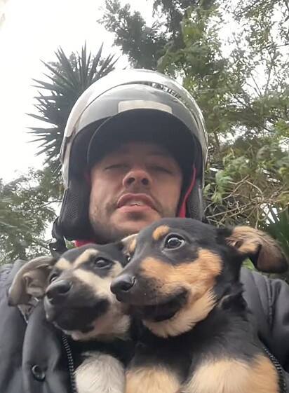 O motoboy Henrique passeando de moto com o cachorrinho Thor e seu irmão de ninhada.