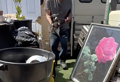 Sem hesitar, o homem entregou o cachorro para a protetora.