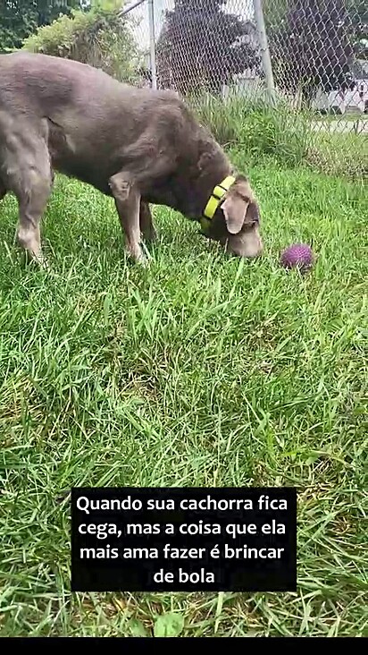 Binks tinha 7 anos quando começou a perder a visão.