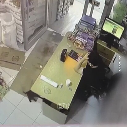 A imagem mostra um gato empurrando a caixa de papelão com as patas.