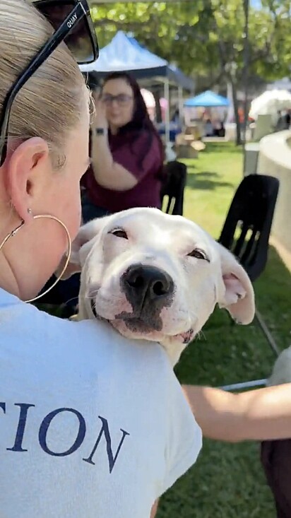 O cãozinho roubou a atenção assim que chegou no evento. A imagem mostra o cão sorrindo no colo de alguém, durante o evento de adoção.