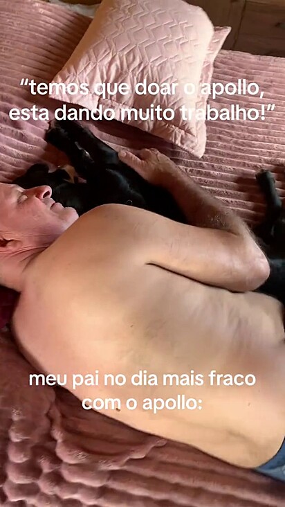 Apollo é muito mimado pela família.
