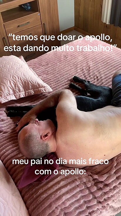 O cão conquistou o coração de todos e hoje tem seu preferido.