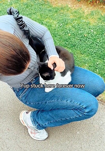 O gatinho pulou no colo da mulher.