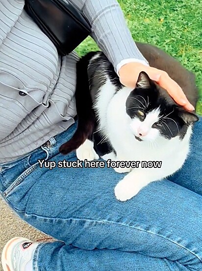 A mulher acariciando o gatinho que encontrou na rua.