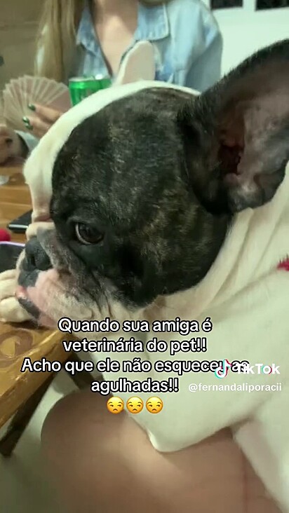 O pet não escondeu a cara de decepção ao reconhecê-la.