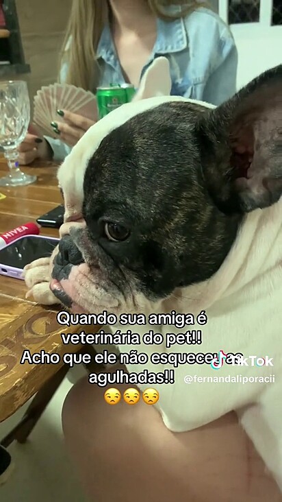 O cachorro não olhou para mais ninguém além dela.