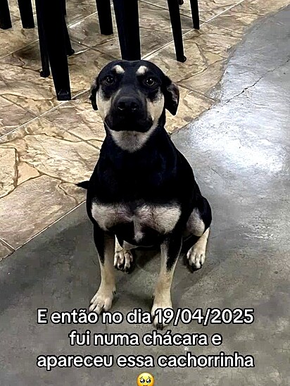 Mesmo que singela, a presença da cachorrinha confortou o coração de Karina.