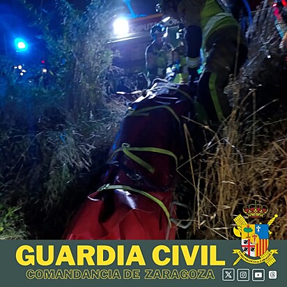 O dono de Lucas, um senhor de 78 anos, havia caído no barranco. A imagem mostra o idoso sendo resgatado.