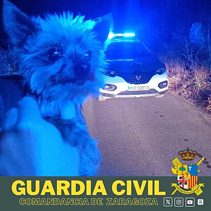 A imagem mostra Lucas, um cão Yorkshire, no colo de um policial.