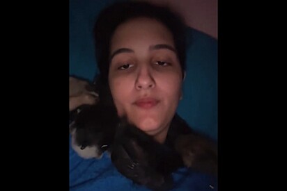 Jovem compra 5 pintinhos, mas não contava que eles teriam dependência emocional.