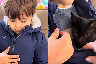 Mãe descobre filho escondendo gato no casaco e escuta a melhor explicação para a atitude.