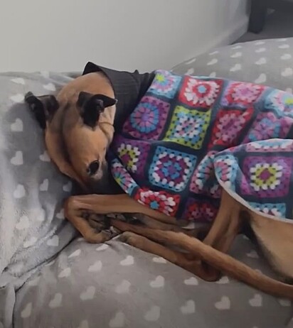 Poppy precisou de tempo para confiar.
