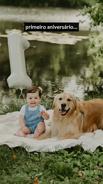 O golden retriever Beau se tornou um grande cãopanheiro.