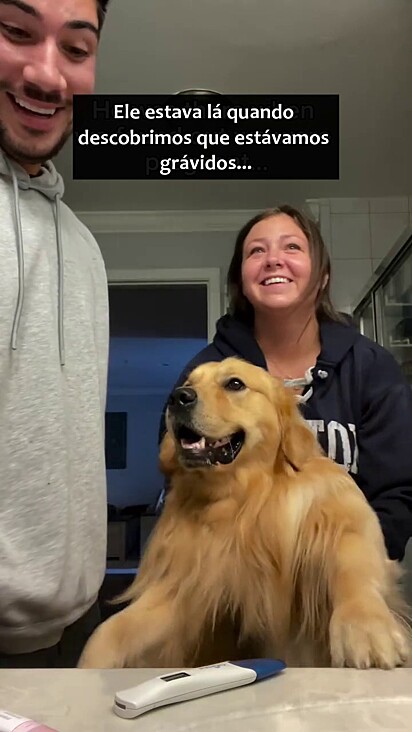 O cachorro sempre foi tratado como membro da família.