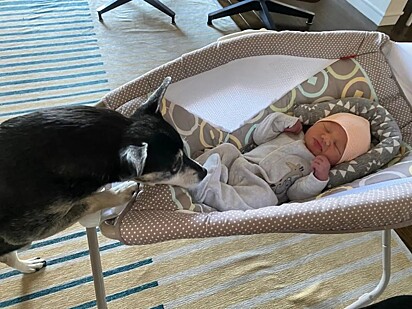 Rufus com a pequena Maya. Atualmente ela tem 6 anos.