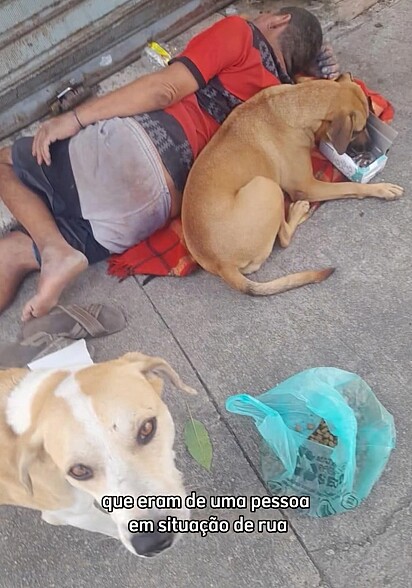 Os viralatinhas Costelinha e Princesa ao lado de seu antigo tutor, um homem em situação de rua.
