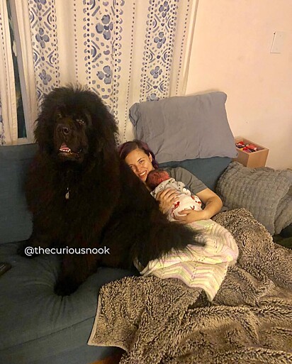 Alex, deitada com o bebê e Napoleão ao seu lado.