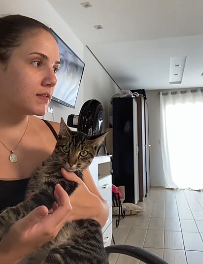 Isabelle e o gato Gato.