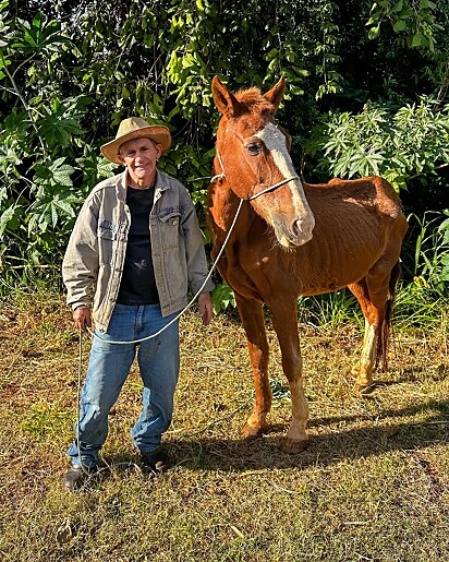 O cavalo Alípio ao lado de seu salvador, Pedro.