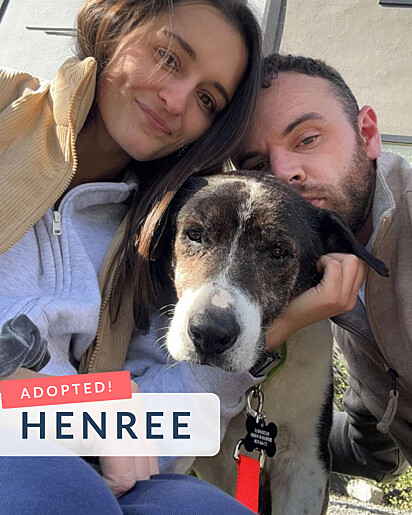 O cachorro Henry junto de Dillon e Ollivia, casal que ofereceu lar temporário.