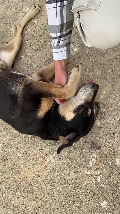Koda escolheu a família certa.