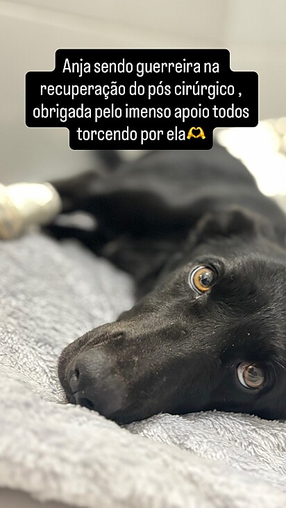 Anja está se recuperando. 