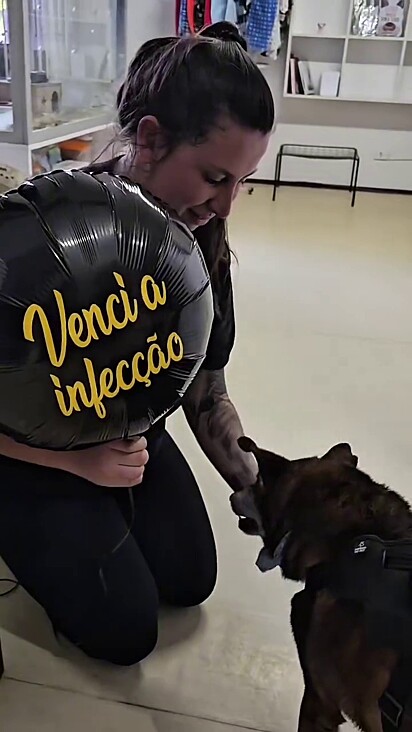 O cachorro cresceu e envelheceu na ONG.