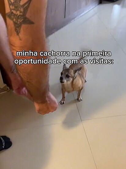 Valentina latindo para a visita.