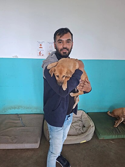 A cachorrinha no colo de Voshan, o homem que a adotou.