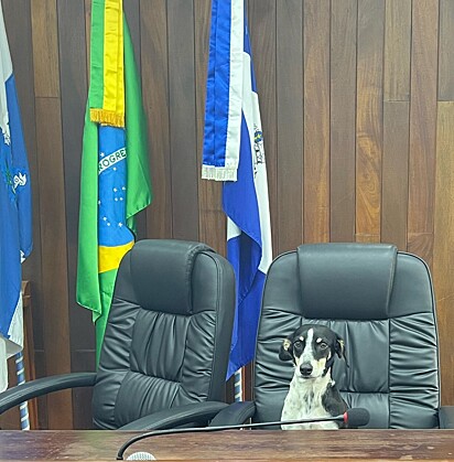 Bela Creidi trabalhando como vereadora.