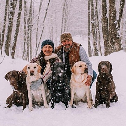 Aimee Heath, seu marido e os labradores que criam.