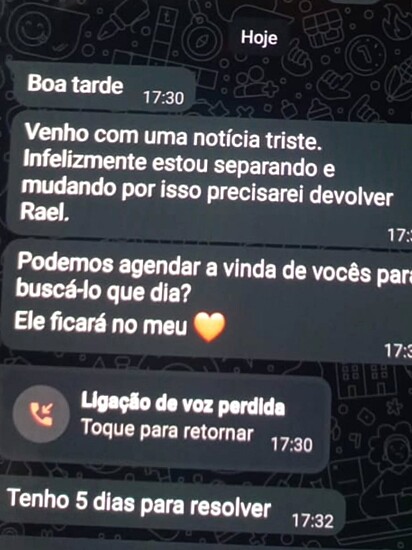 A mensagem que a tutora enviou.