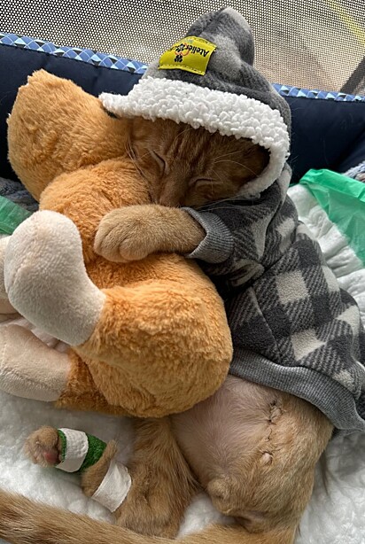 Ele adora dormir abraçado na sua capivara de pelúcia.