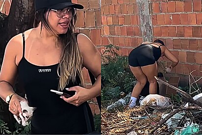 Voltando da academia, mulher resgata gatinho no meio da rua e descobre que ele não está sozinho.