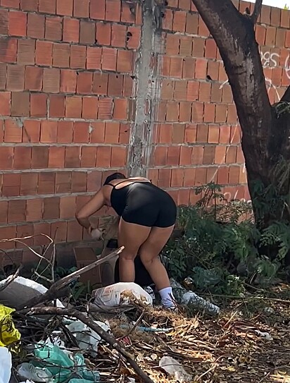 Estefania encontrou os filhotes abandonados dentro de uma caixa de papelão, em meio ao lixo.