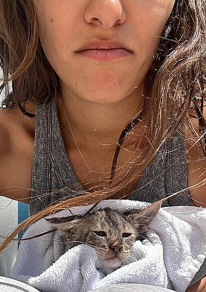 Coco pulou no mar com a roupa que estava para salvar a gatinha.
