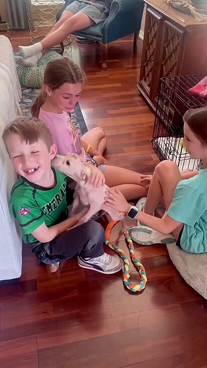 O cão tirou a sorte grande ao ser acolhido.