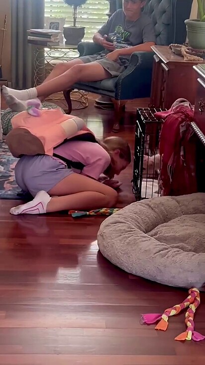 A menina ficou extremamente emocionada ao ver que o cachorro foi salvo da eutanásia.