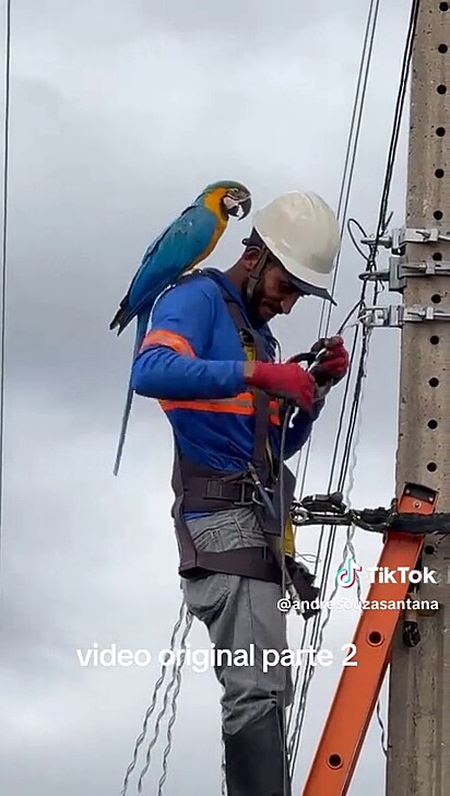 Ele manteve o foco no trabalho.