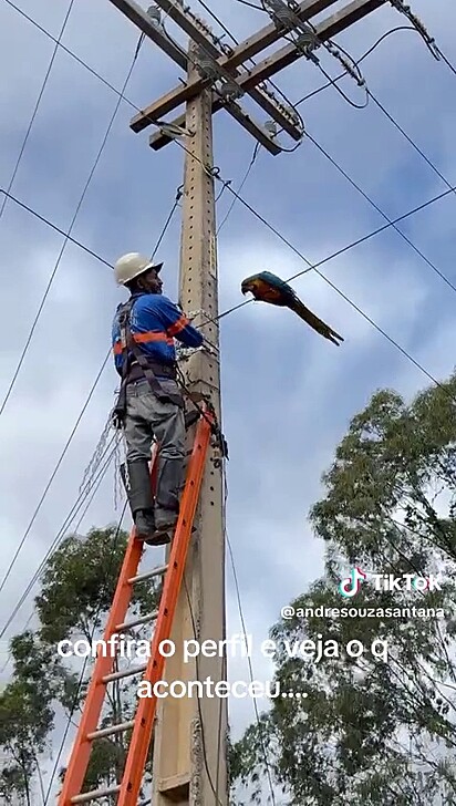 O colaborador estava ajustando a internet na região.