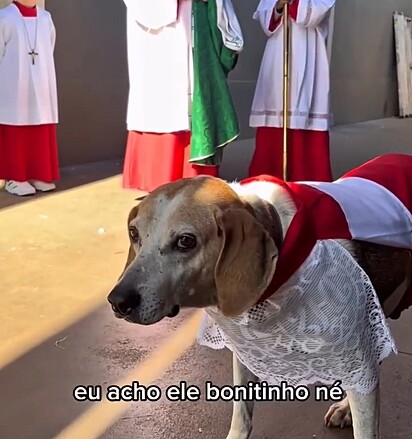 Johnny foi resgatado pelo padre Luiz de uma situação de abandono