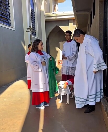 O cachorrinho Johnny participa de todas as celebrações.
