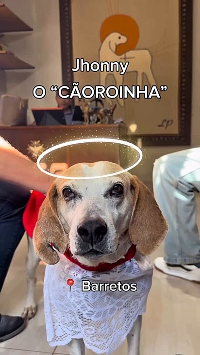 Johnny não conhece São Francisco, mas vive, todos os dias, o legado de que amar os animais é louvar a vida.